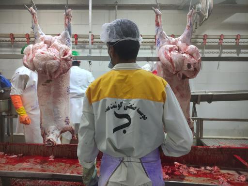 عکس موسسه صنعتی گوشت مشهد