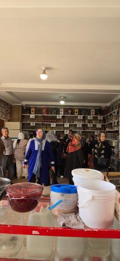 عکس گلابگیری سنتی میلاد