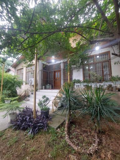 عکس موسسه فرهنگی هنری صبا