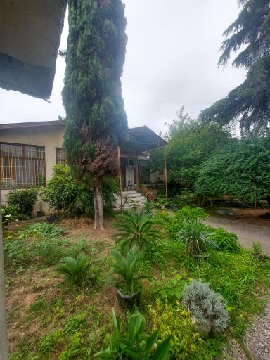 عکس موسسه فرهنگی هنری صبا