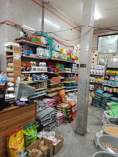 پت شاپ عمورحیم