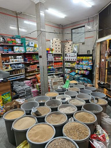 پت شاپ عمورحیم