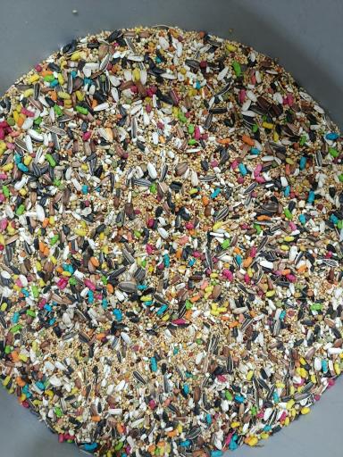 عکس پت شاپ عمورحیم