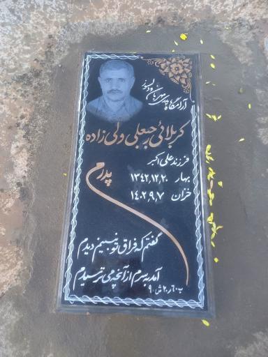 عکس مزار  ولی زاده