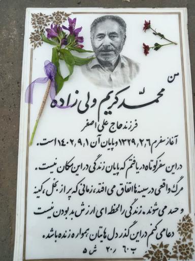 عکس مزار  ولی زاده