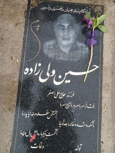 عکس مزار  ولی زاده