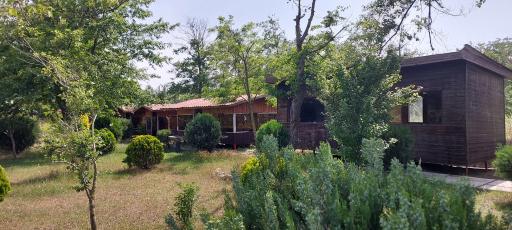 عکس رستوران ساحلی بهنمیر