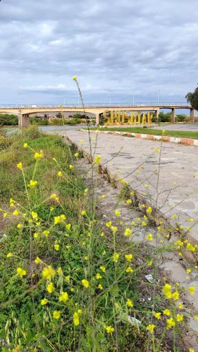 عکس بوستان هرمزان