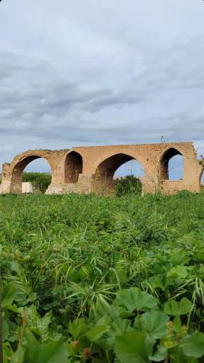 بوستان هرمزان