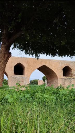 عکس بوستان هرمزان