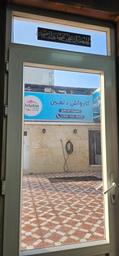 عکس کارواش دلفین