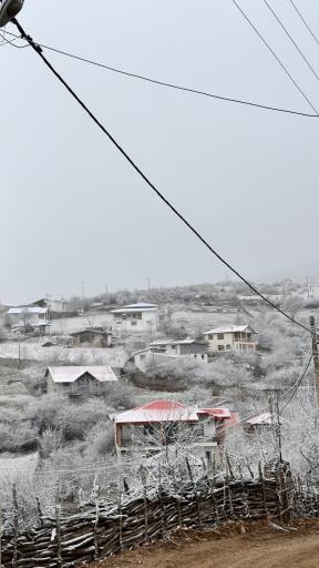عکس پس پرس