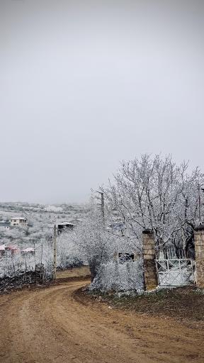 عکس پس پرس