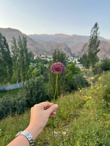 عکس پس پرس