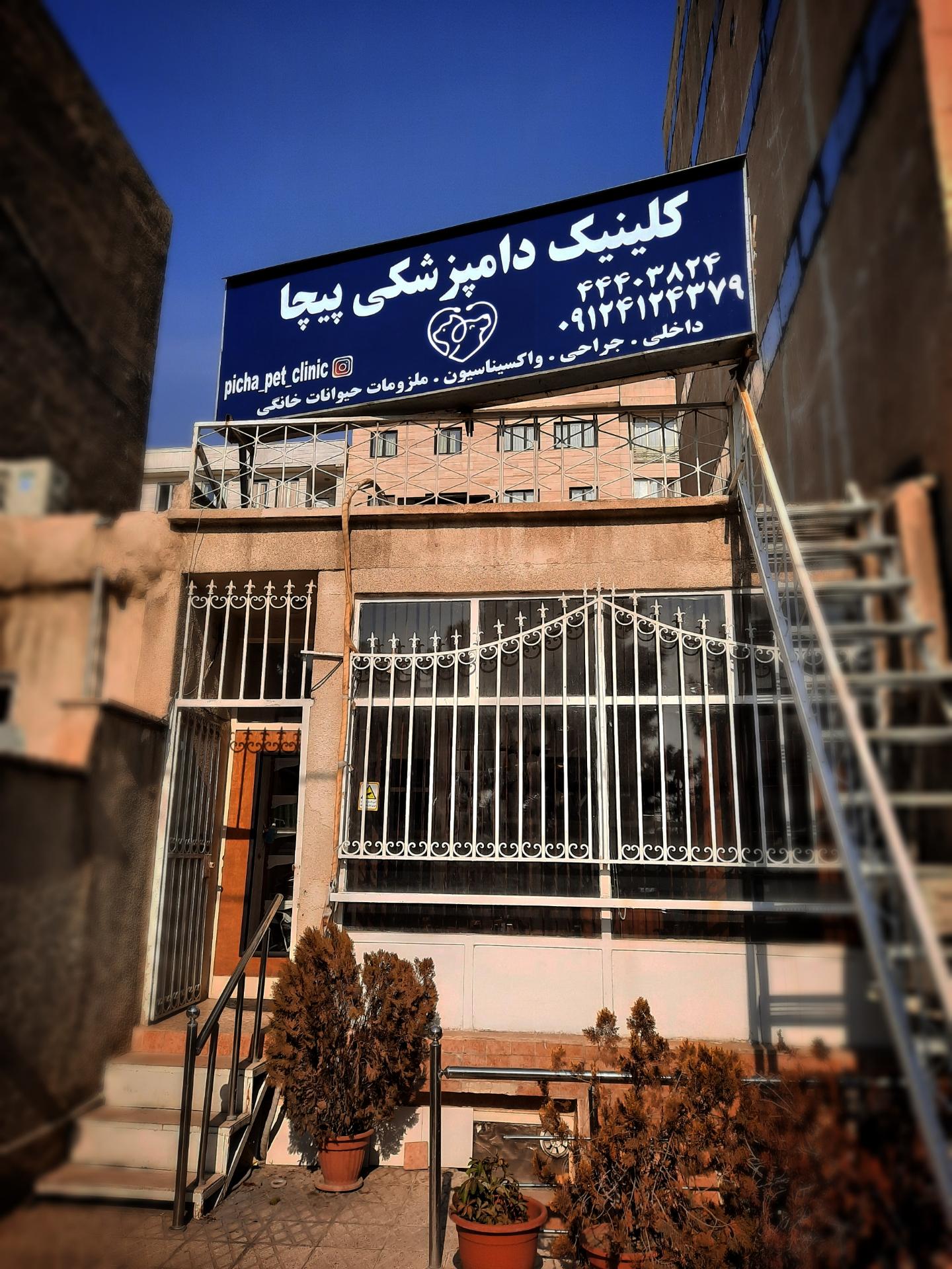 عکس کلینیک دامپزشکی و پت شاپ پیچا