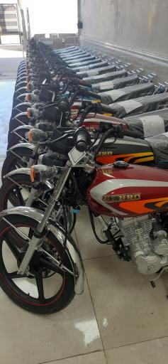 عکس نمایشگاه رهرو محرکه