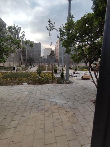 عکس مجموعه شهردخت