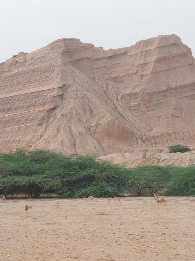 عکس جزیره خارک 