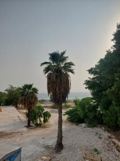 عکس جزیره خارک 