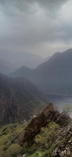 عکس هجیج بزرگ