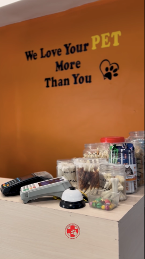 عکس کلینیک دامپزشکی پرشان