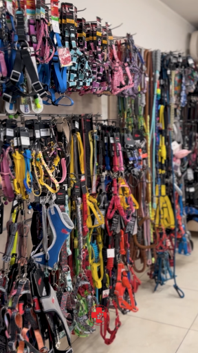 عکس کلینیک دامپزشکی پرشان