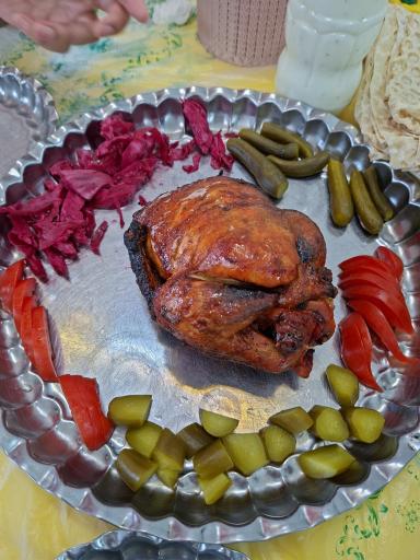 عکس پاچینی جوجه طلا