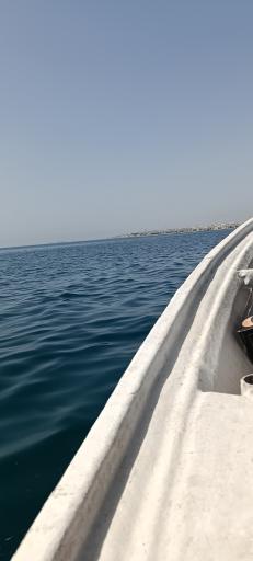 عکس جزیره خارک 