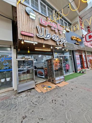 عکس پاچینی جوجه طلا