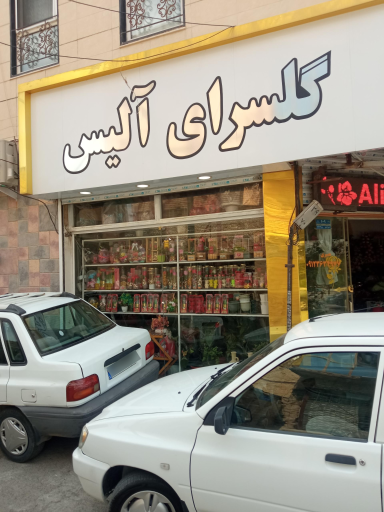 عکس گل فروشی آلیس