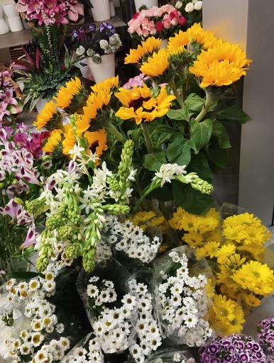 عکس گل فروشی لاله