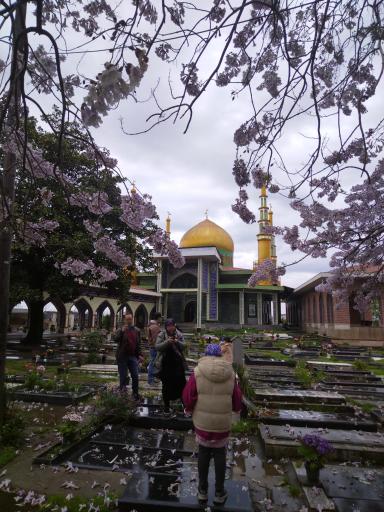 عکس امام زاده سیدکیا ابوالحسن(ع)