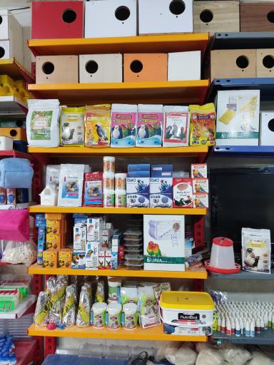 عکس پرنده سرای سیمرغ