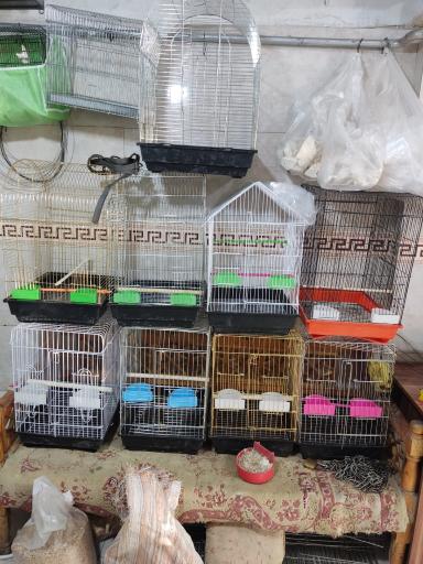 عکس پرنده سرای سیمرغ