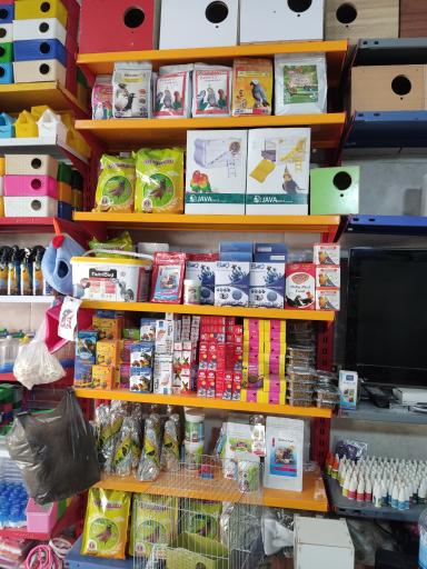 عکس پرنده سرای سیمرغ