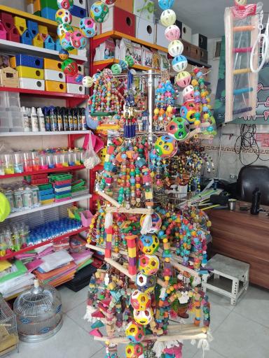 عکس پرنده سرای سیمرغ