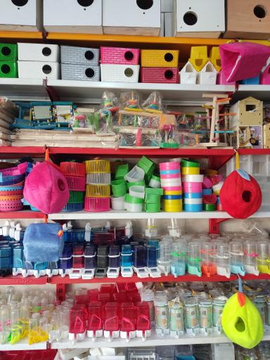 عکس پرنده سرای سیمرغ