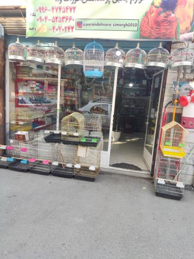 عکس پرنده سرای سیمرغ