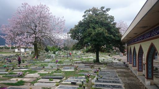 عکس امام زاده سیدکیا ابوالحسن(ع)