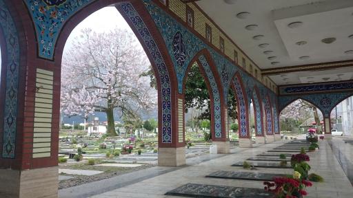 عکس امام زاده سیدکیا ابوالحسن(ع)