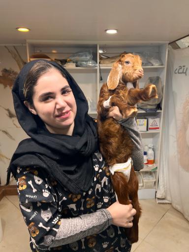 کلینیک دامپزشکی دکتر کاکرودی