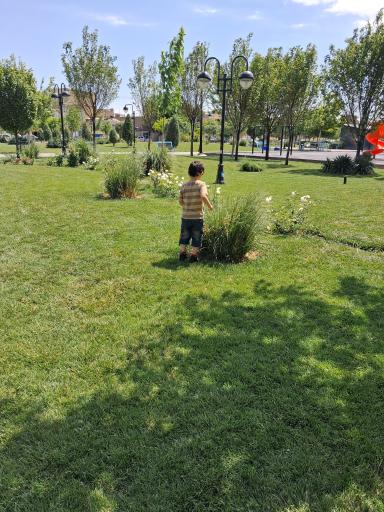 عکس بوستان اردیبهشت