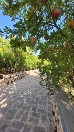 عکس عمارت امید