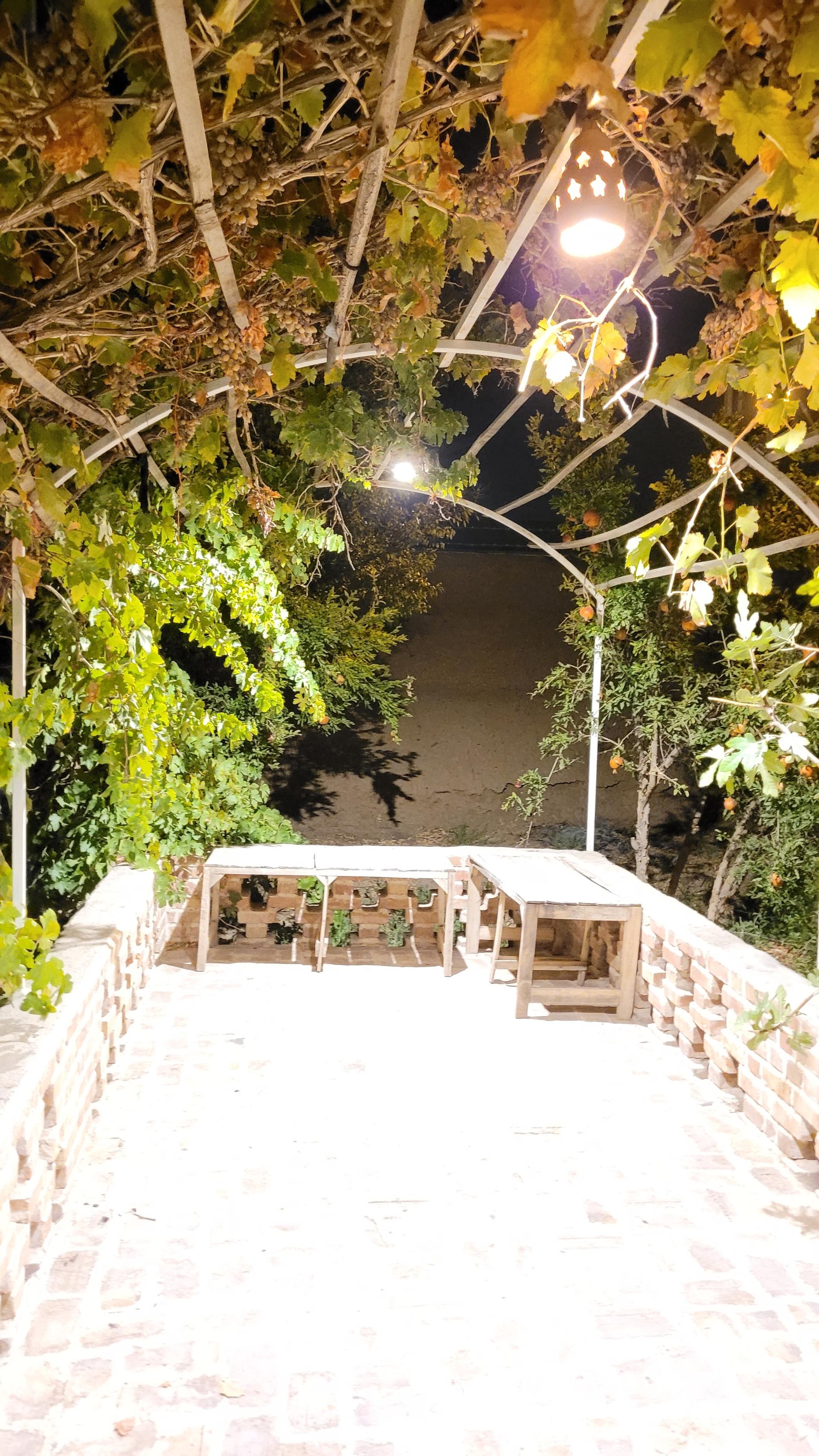 عکس عمارت امید