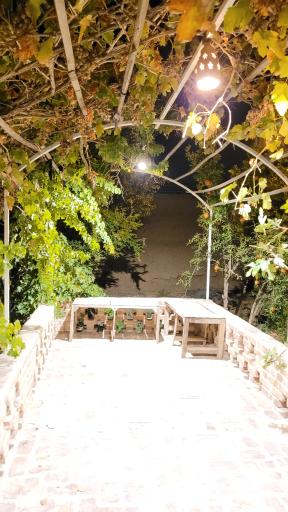 عکس عمارت امید