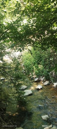 عکس پل قدیمی