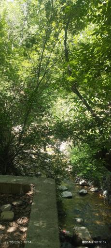 عکس پل قدیمی