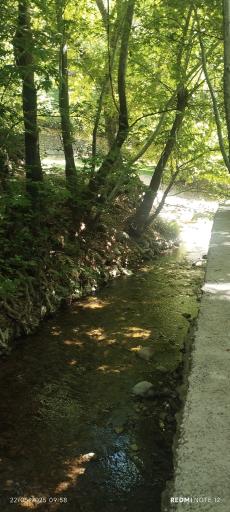 عکس پل قدیمی