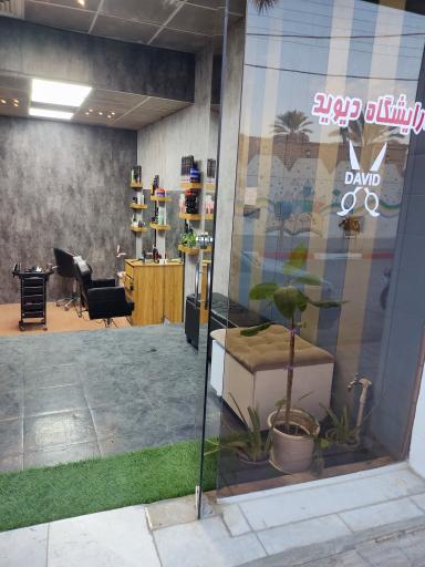 عکس پیرایش دیوید