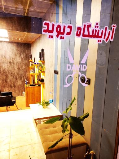 عکس پیرایش دیوید